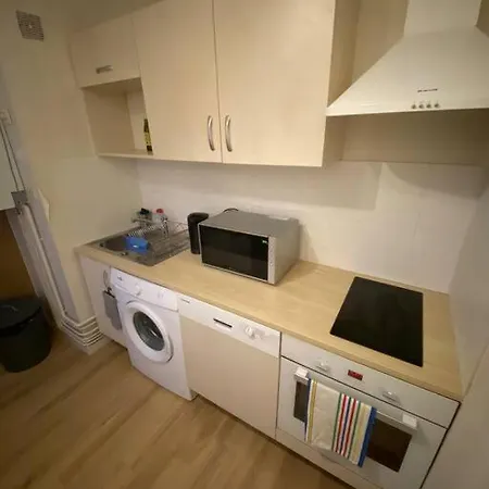 - Grand Proche Parc Darcy & Gare Apartment