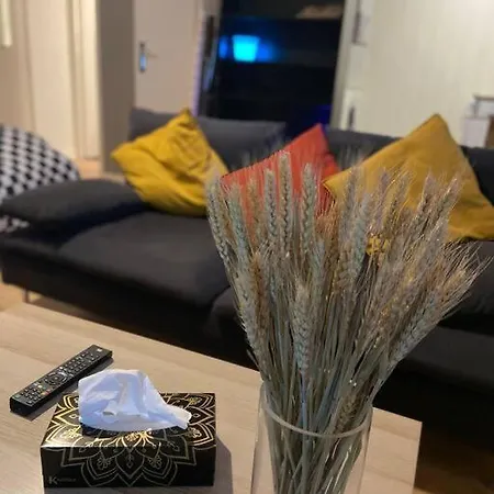 - Grand Proche Parc Darcy & Gare Apartment *
