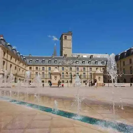 Apartment - Grand Proche Parc Darcy & Gare Dijon