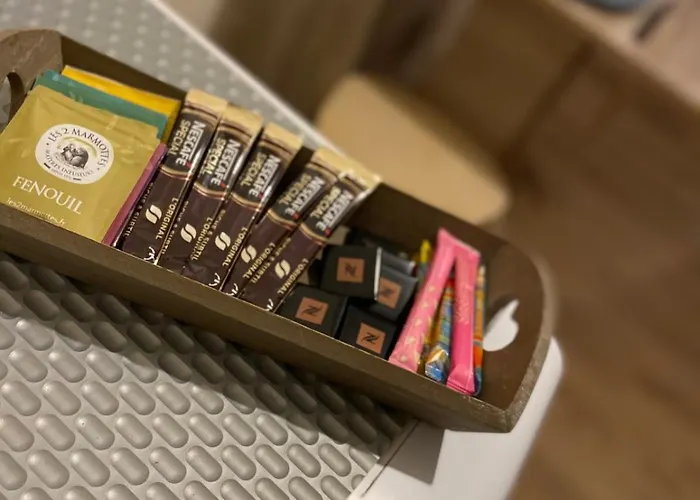 - Grand Proche Parc Darcy & Gare *