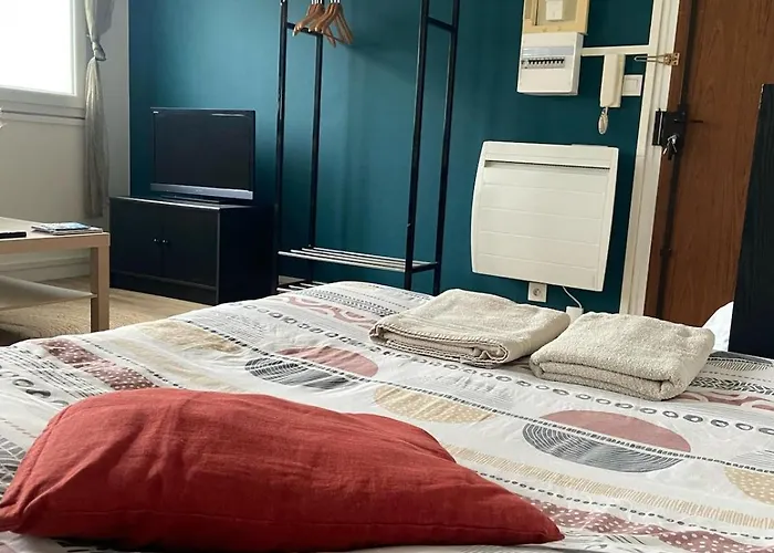 - Grand Proche Parc Darcy & Gare * דיז'ון